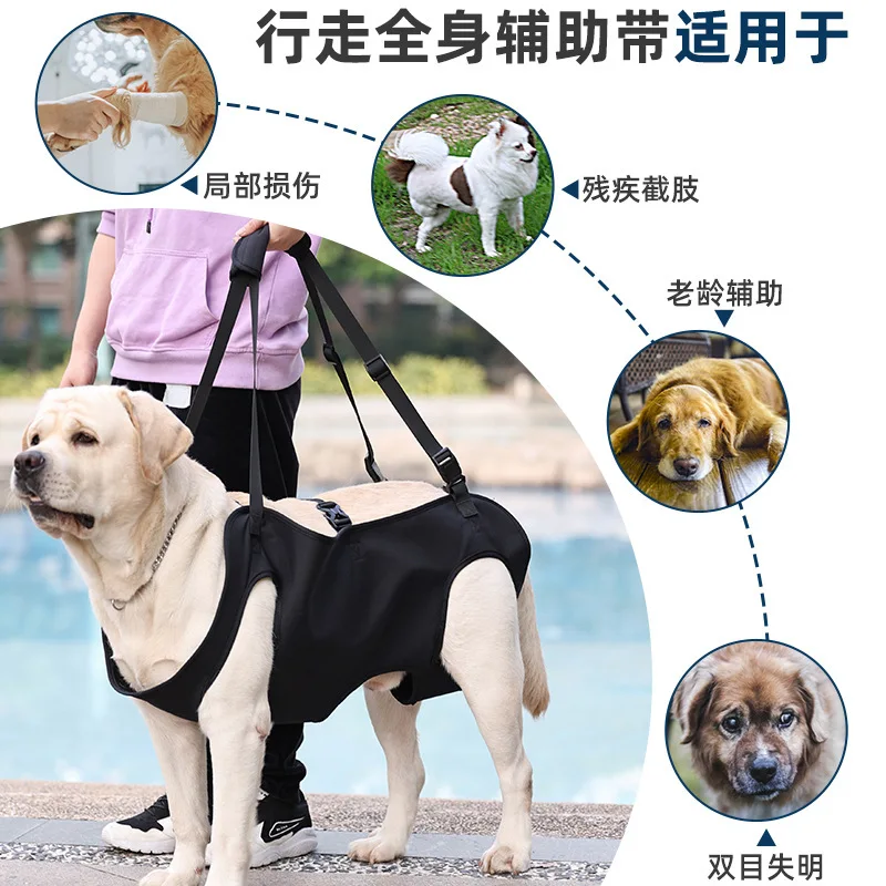 Arnés de Rehabilitación para Perros Mayores y Lesionados - imagen 4