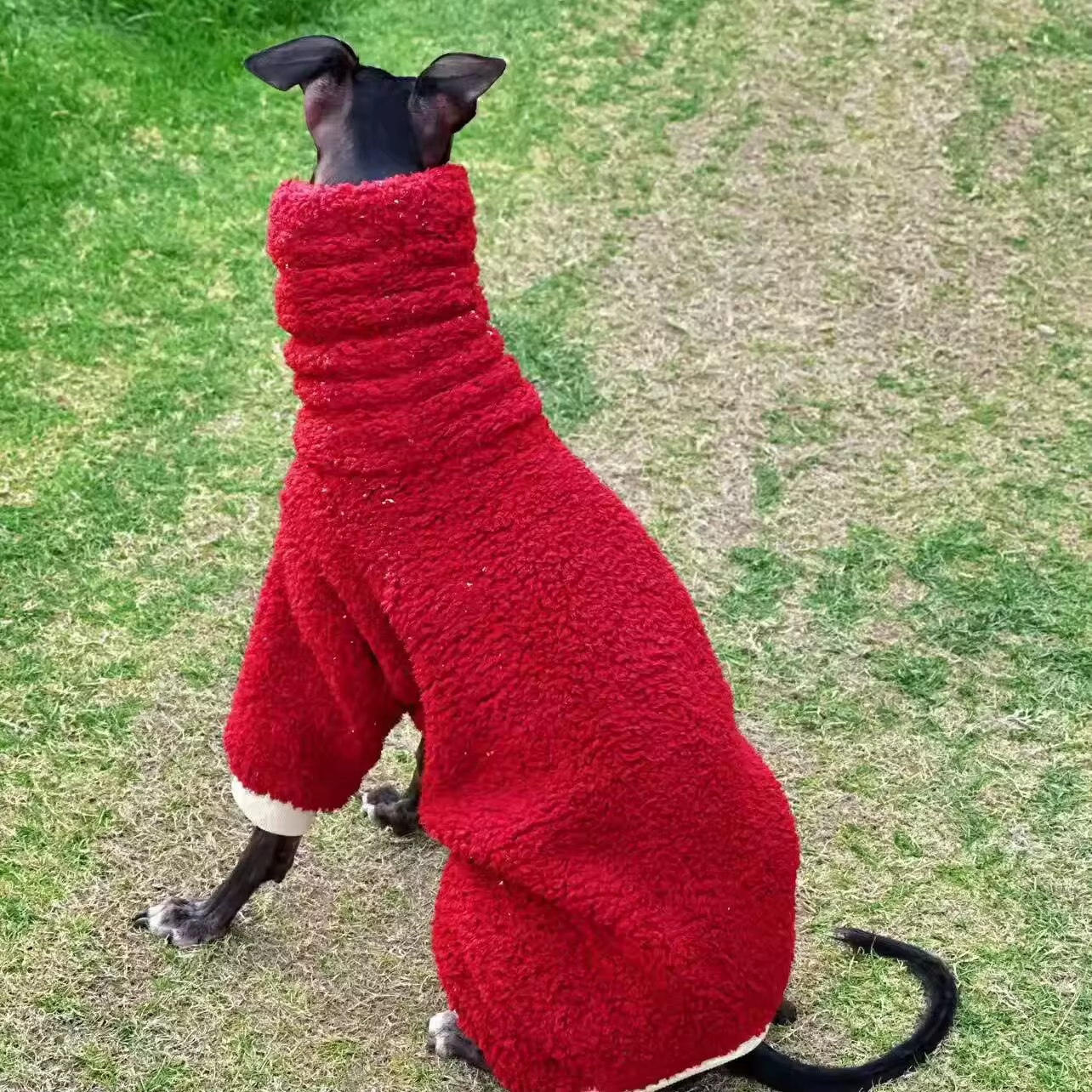 Sudadera de forro polar con 4 patas para galgos y whippets - imagen 5