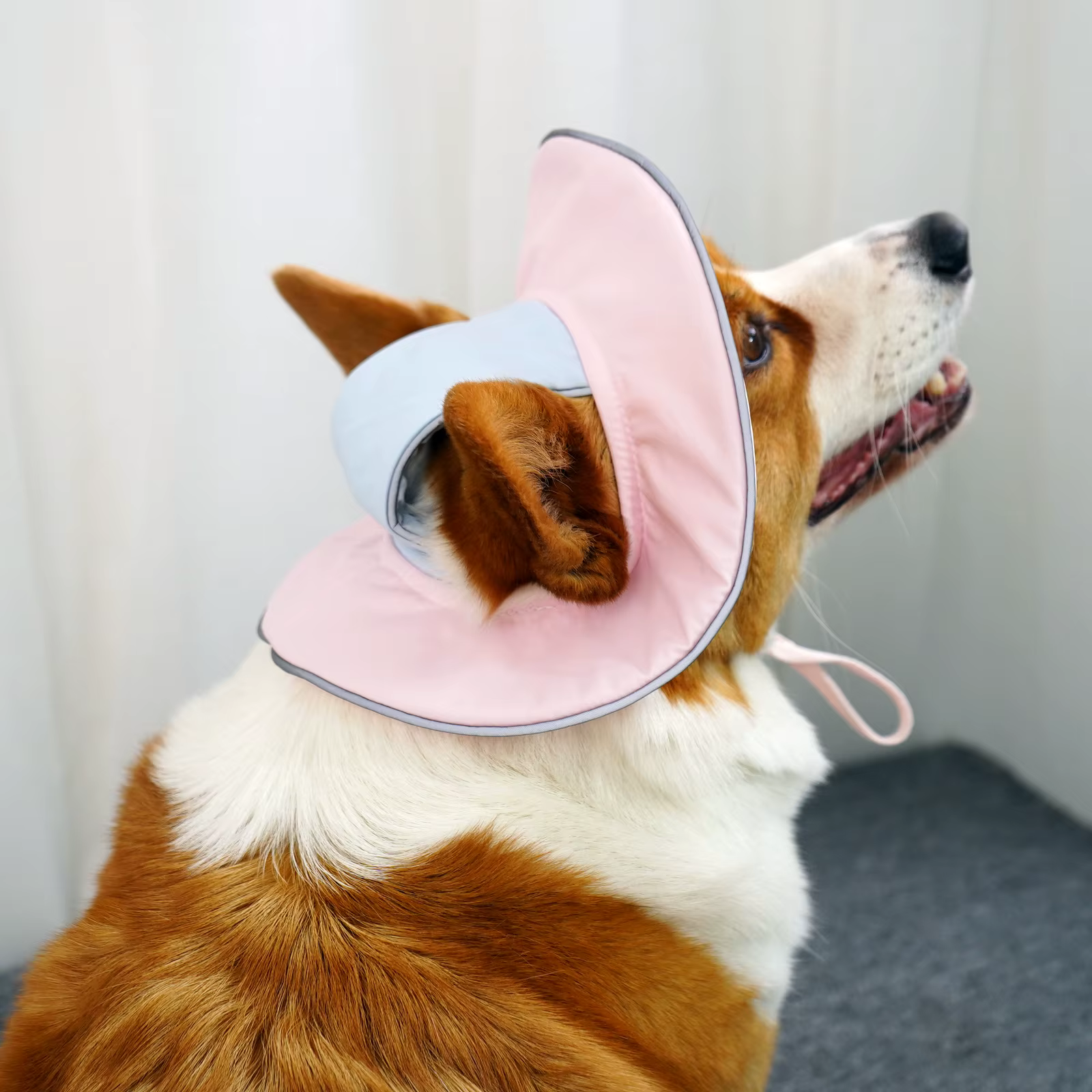 Sombrero para perro con protección solar transpirable todo el año - imagen 3