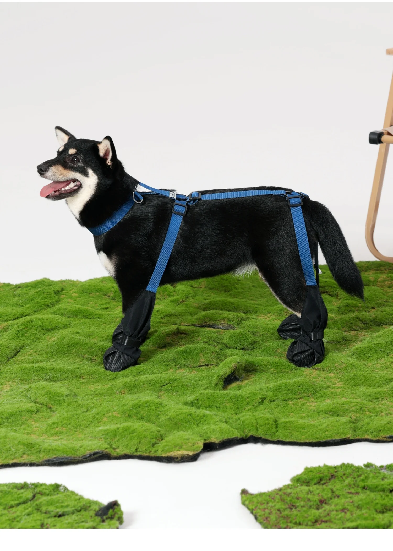 Zapatos con manga para perros