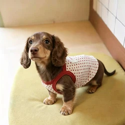 Vestido de algodón con lunares para perros salchicha, falda de verano