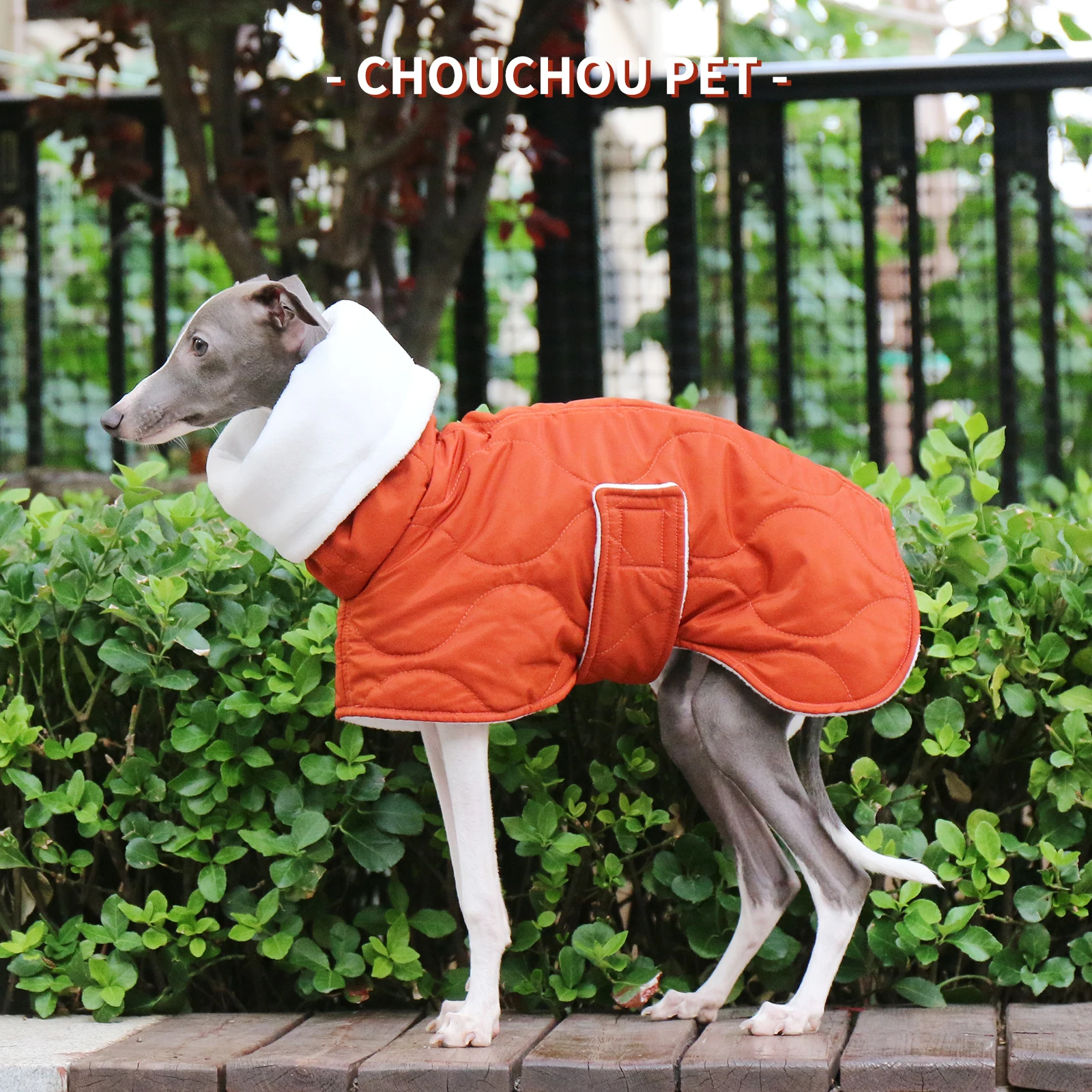 Perro usando el abrigo en invierno