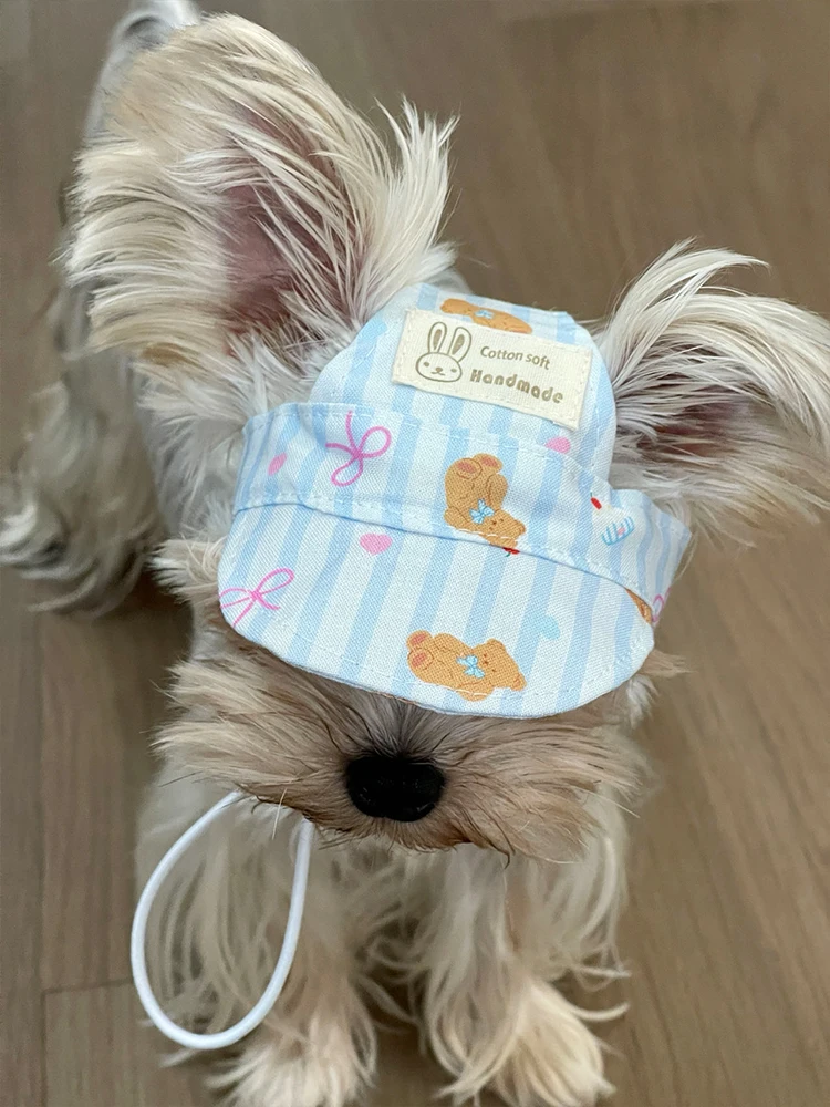Perro Yorkshire Terrier usando el gorro protector