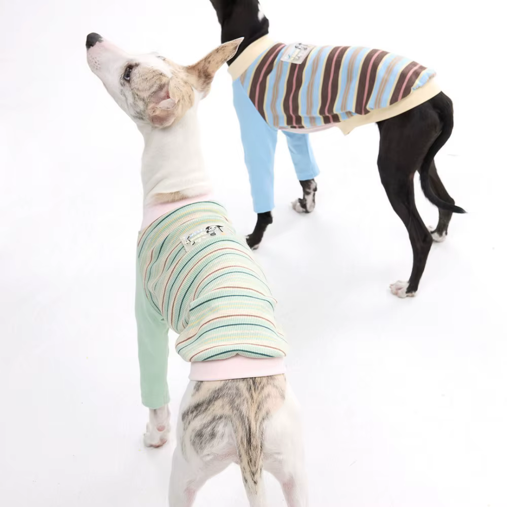 Camiseta algodón para Whippet y Galgo Italiano – Rayas primavera-verano