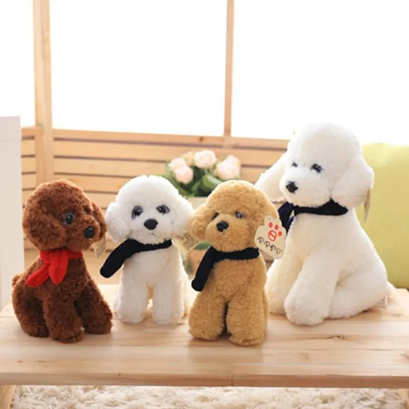 Vista frontal del perro de peluche Bichon