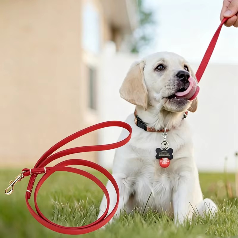 Correa de cuero para perros clásica resistente y suave para paseos - imagen 5