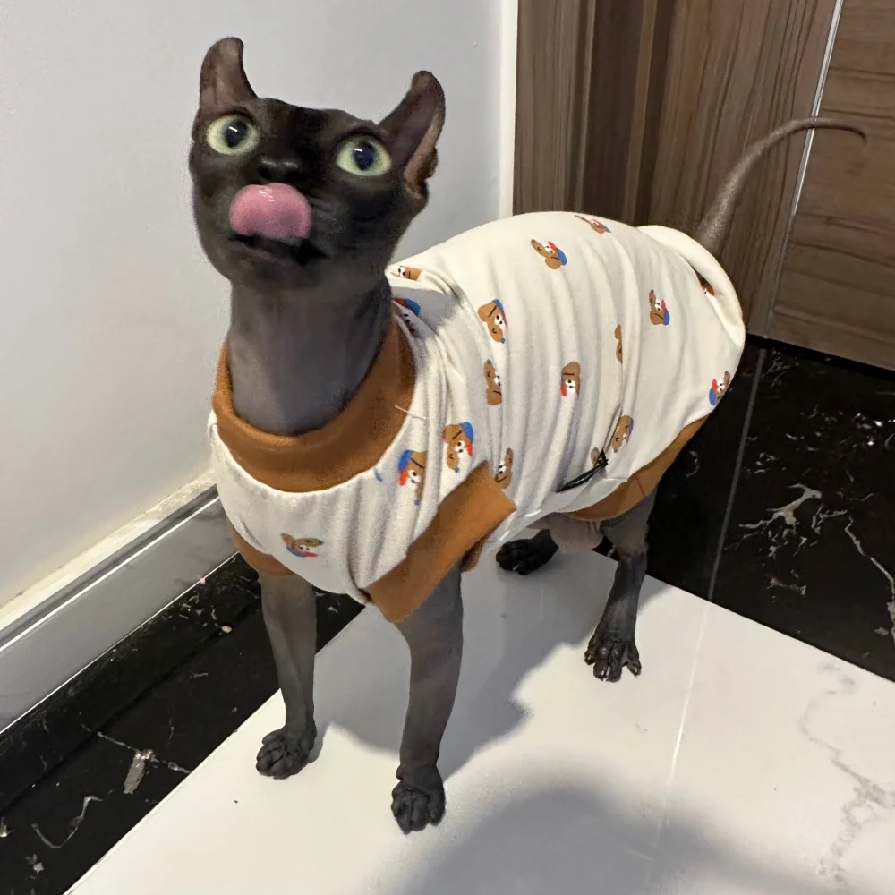 Camiseta Devon Rex lavado