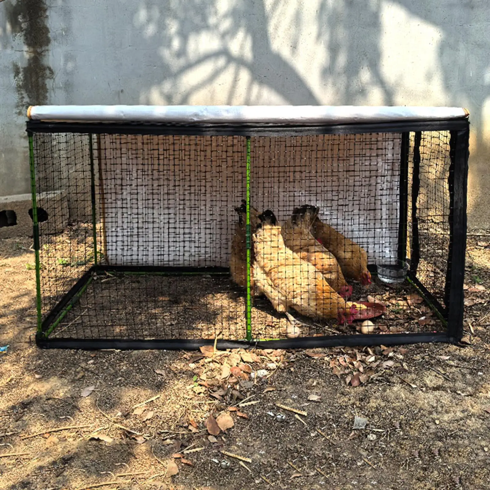 Conjunto completo de túnel para aves de corral