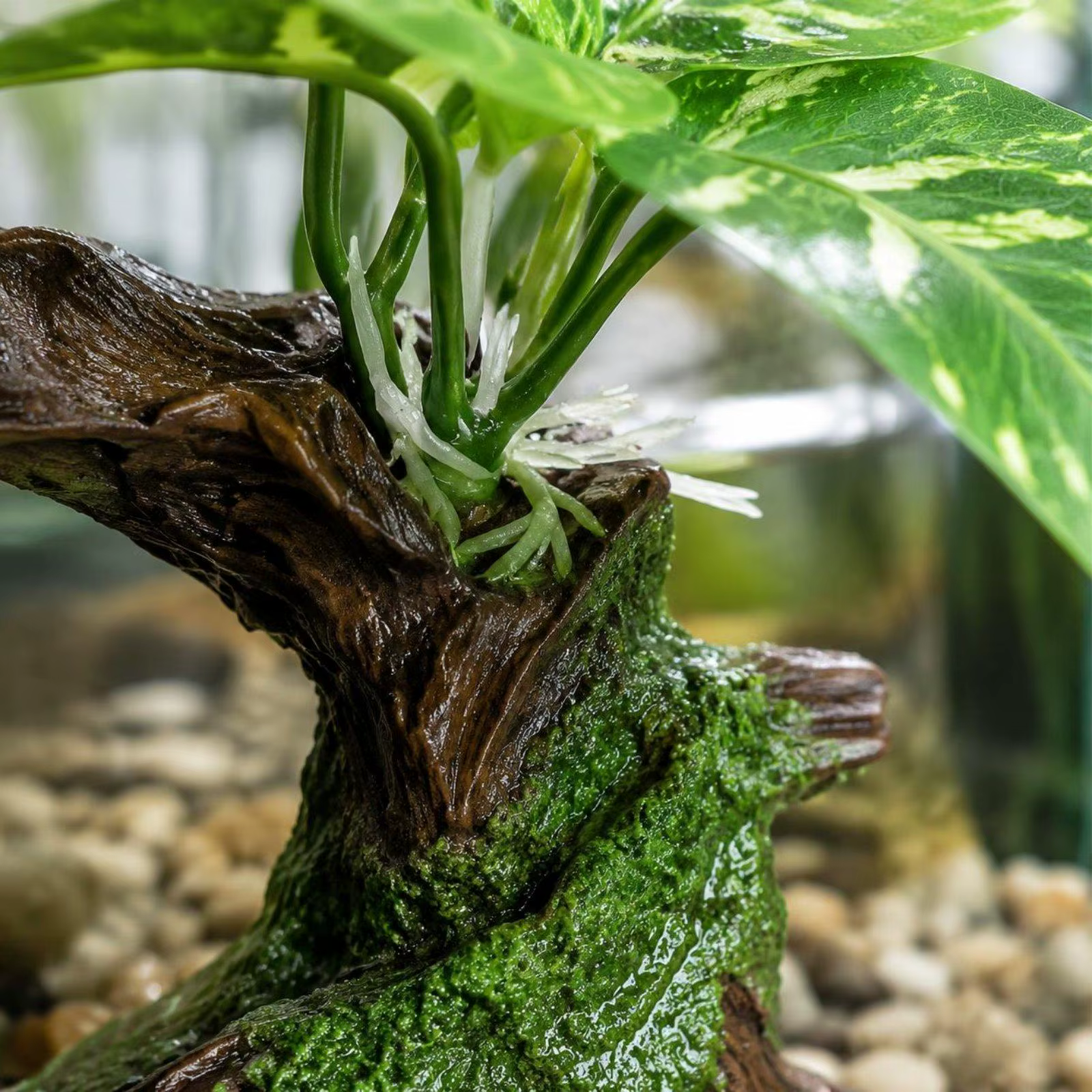 Conjunto completo de madera flotante para acuario y terrario