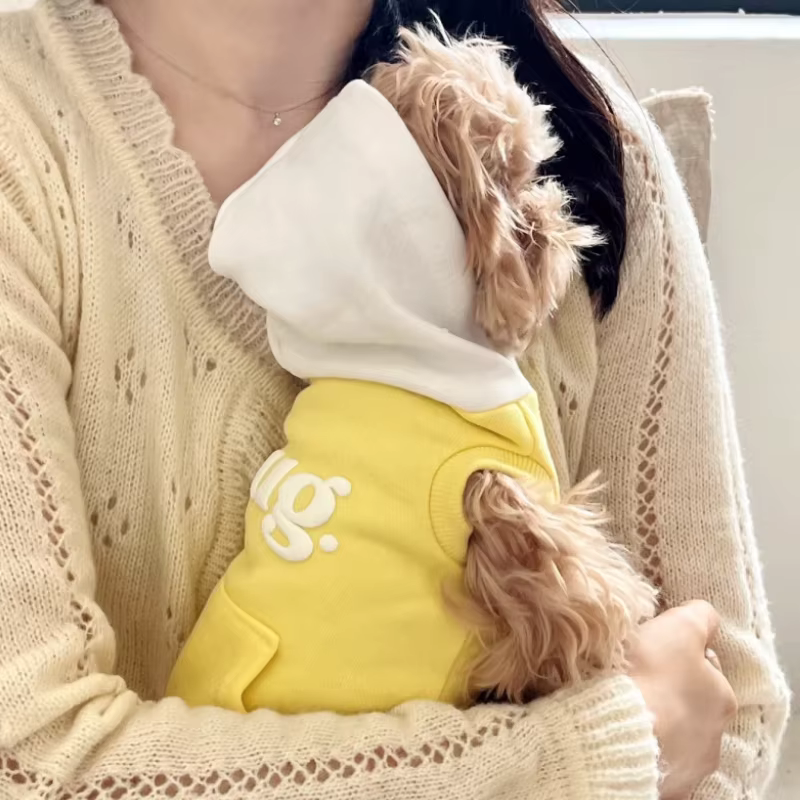 Jersey con capucha para perros y gatos – Estampado letras elegante
