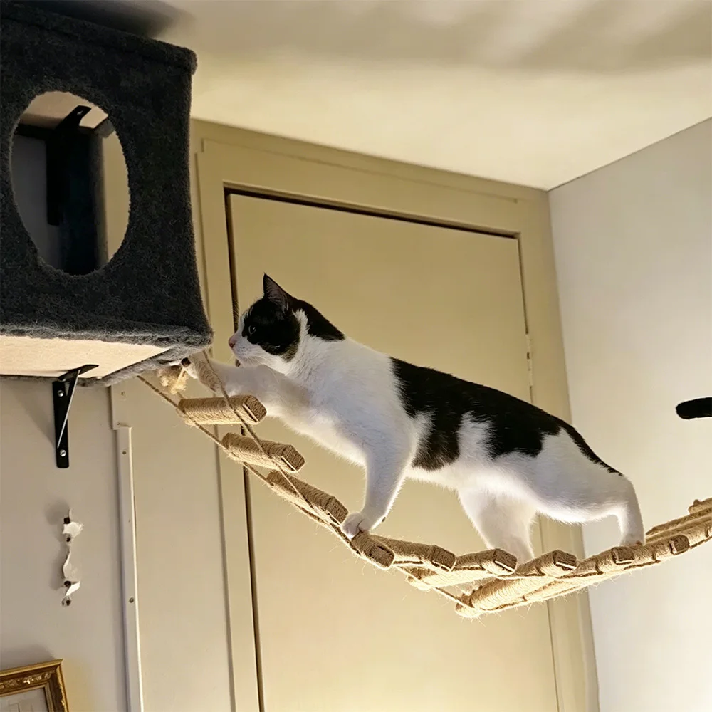 Rascador de pared de madera con sisal y escalera para gatos - imagen 2