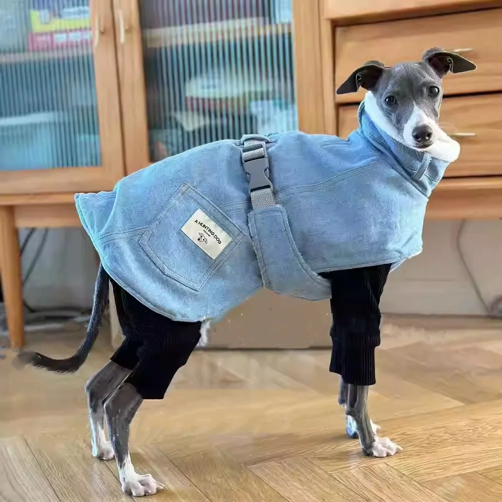 Prueba de ajuste en galgo
