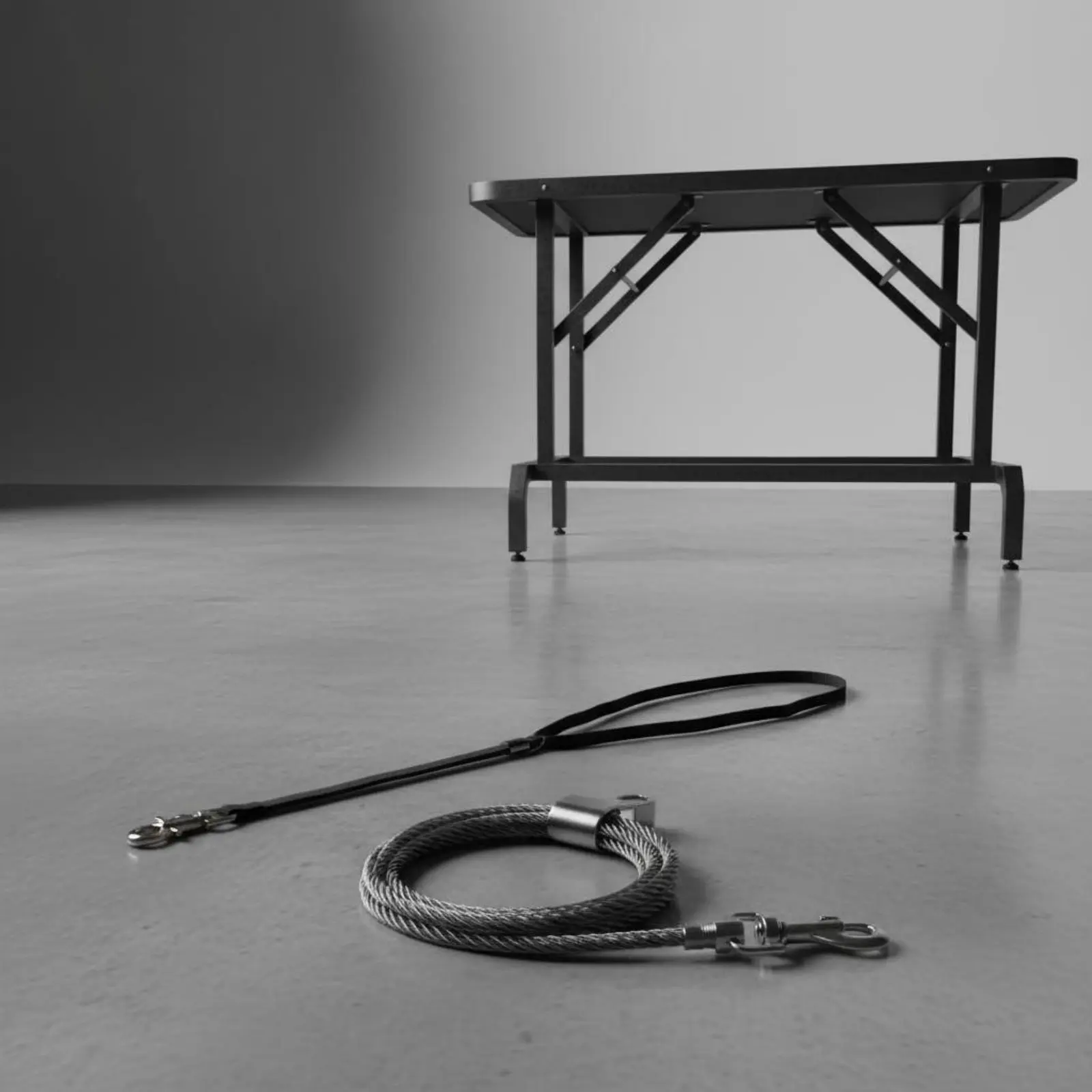 Cuerda de sujeción para perros peluquería, con ventosa antideslizante - imagen 4