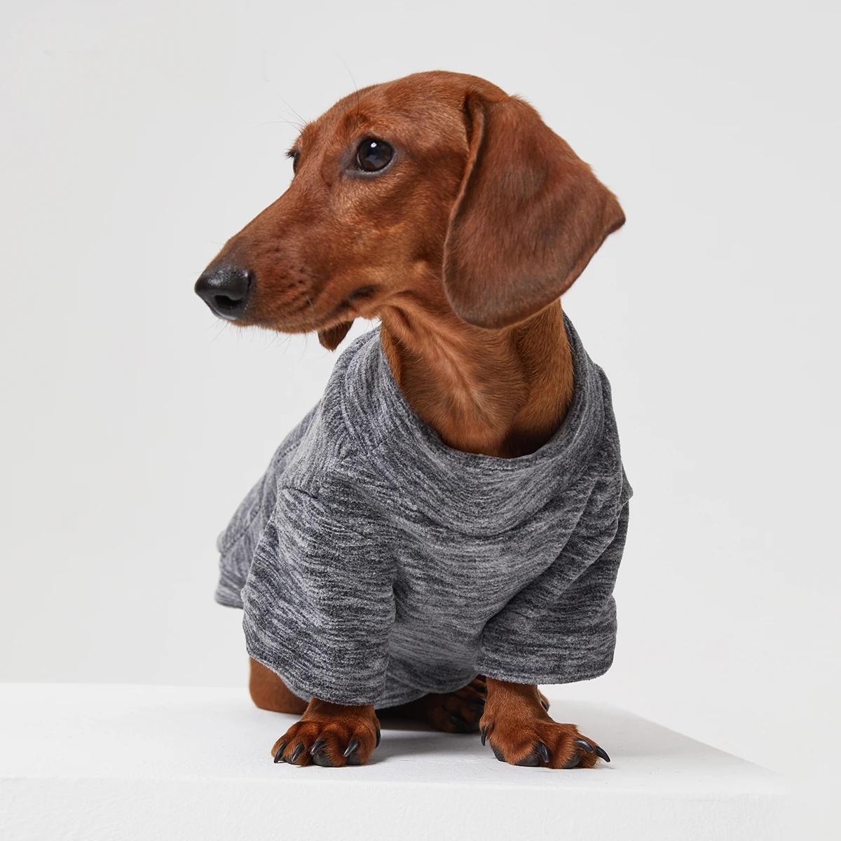 Camiseta gris de manga larga para perro Wiener