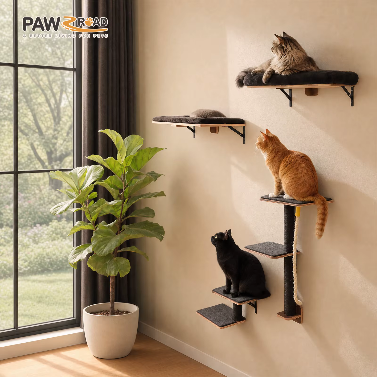 Rascador de pared para gatos: estantes y cuerdas de trepa interior - imagen 4