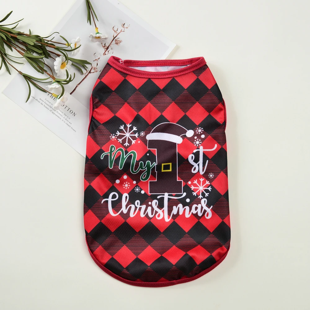 Vista frontal del disfraz de Papá Noel