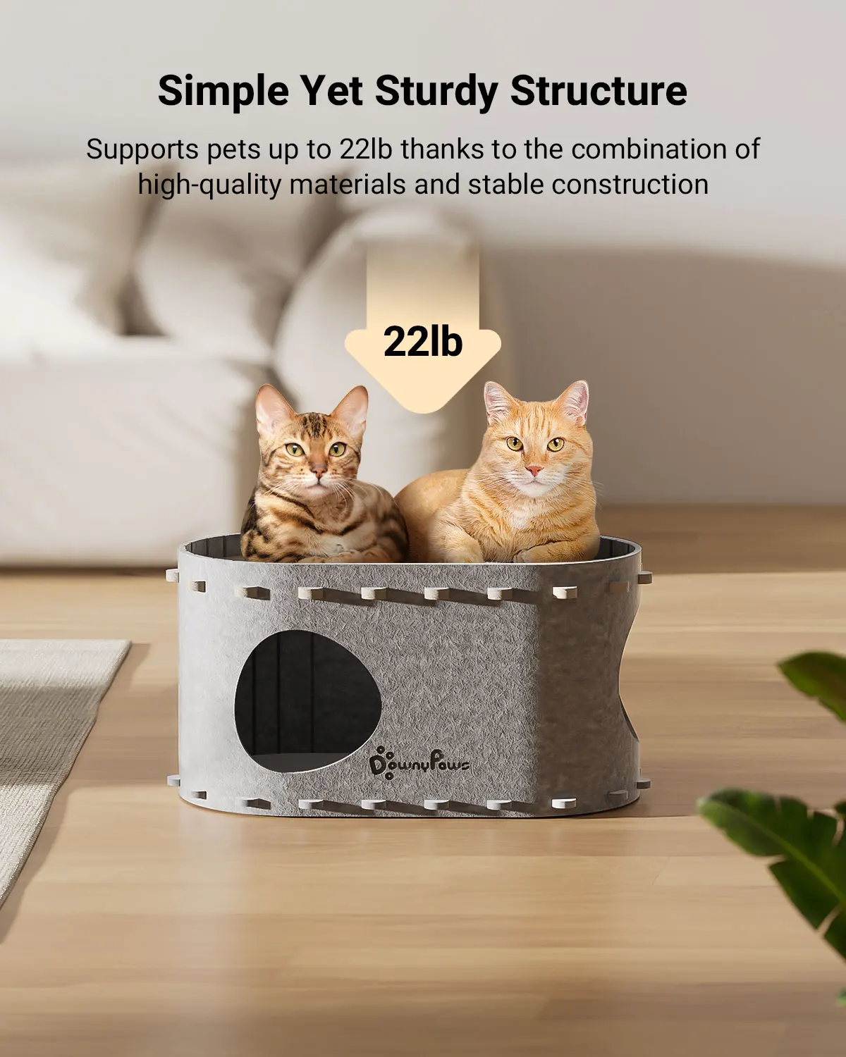 Casa para gatos de interior antirrayos, cueva acolchada para grandes - imagen 5