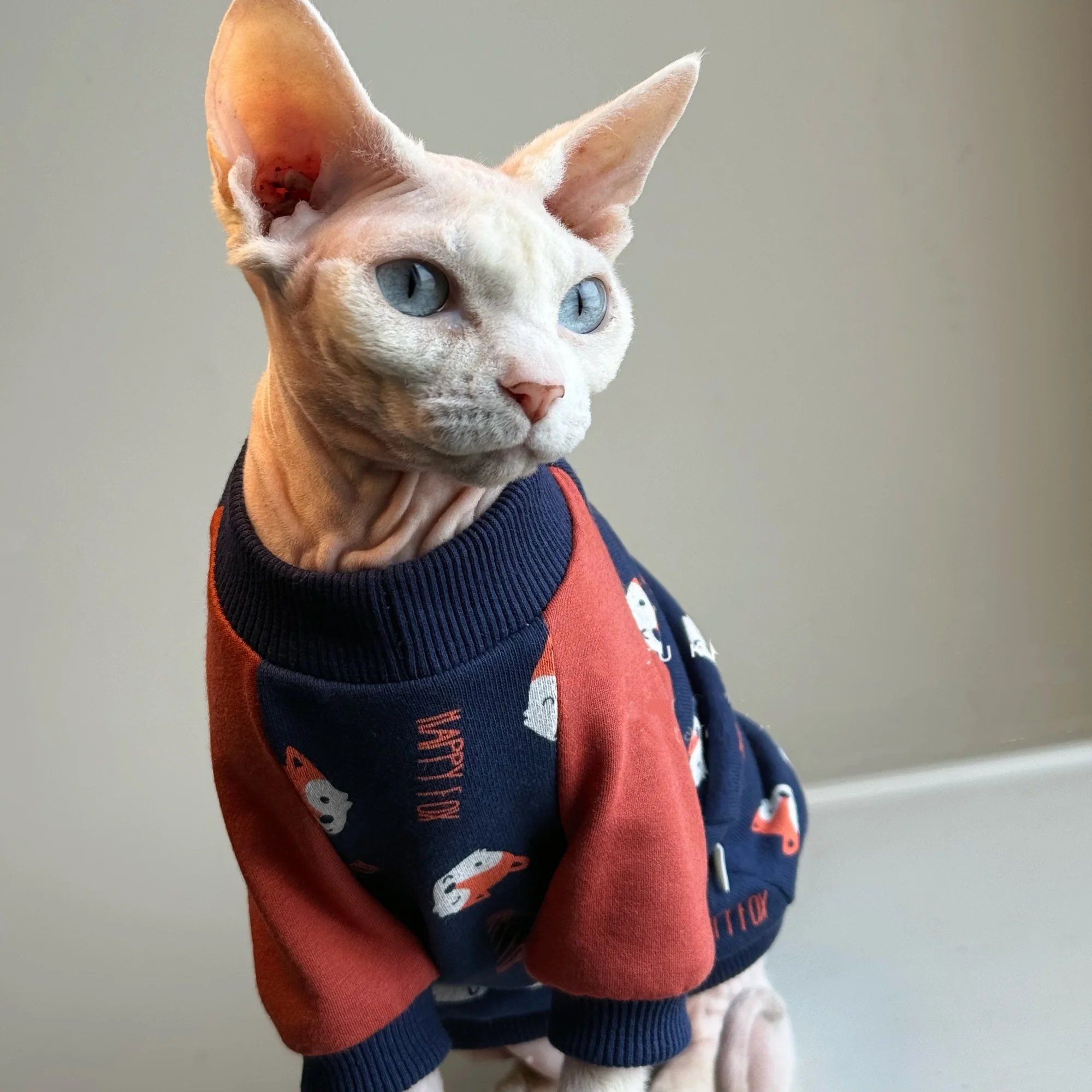 Vista lateral de la camiseta elástica para gatos