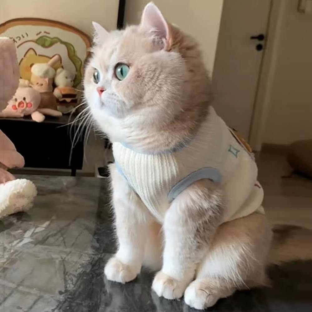 Chaleco ropa transpirable suave para gatos y perros pequeños - imagen 3