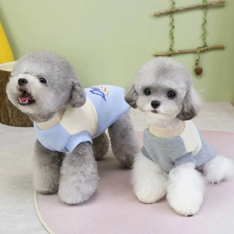 Sudadera con Estampado para Perro y Gato – Jersey Cálido de Otoño para Razas Pequeñas - imagen 5