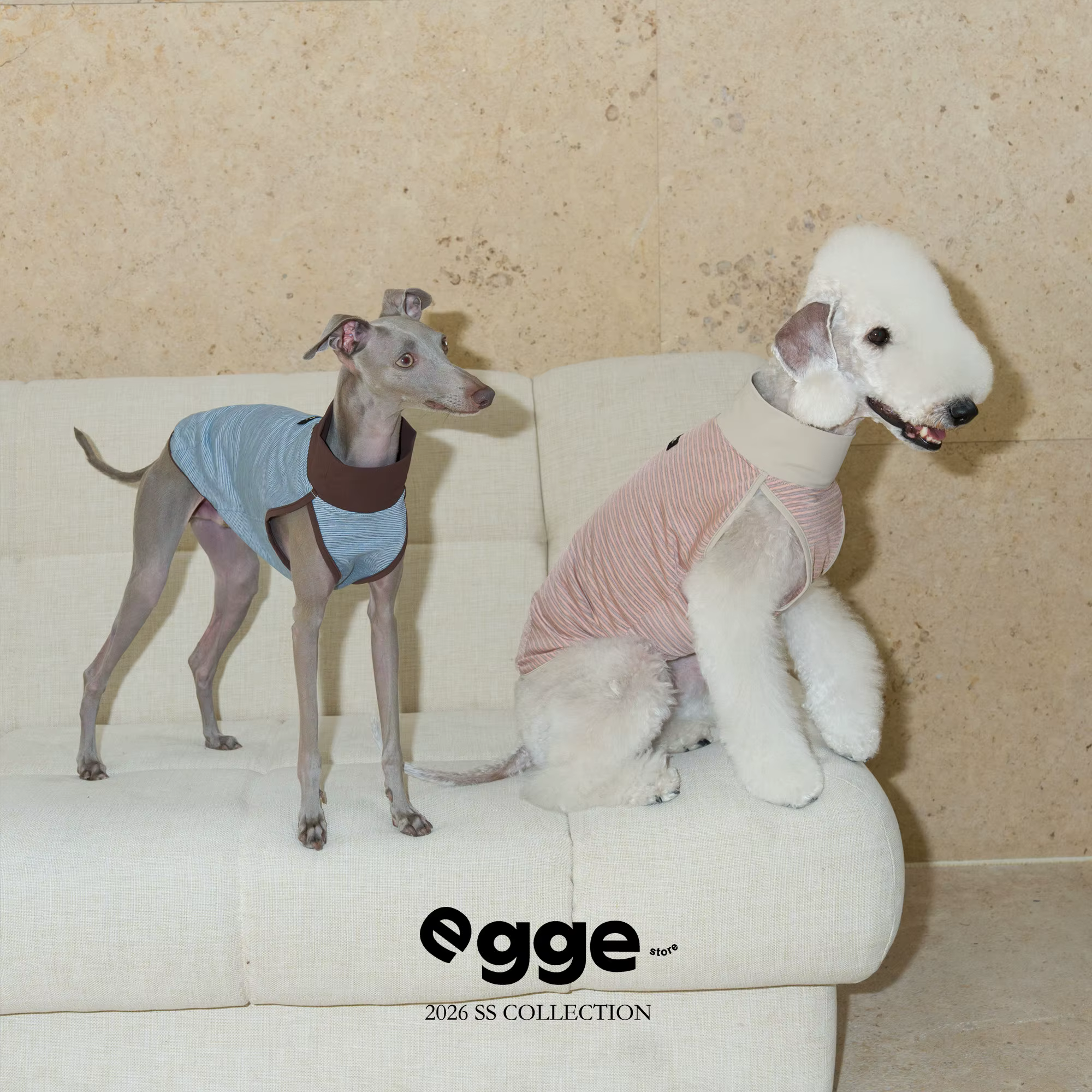 Camiseta refrescante sin mangas para Greyhound italiano y Whippet - imagen 2