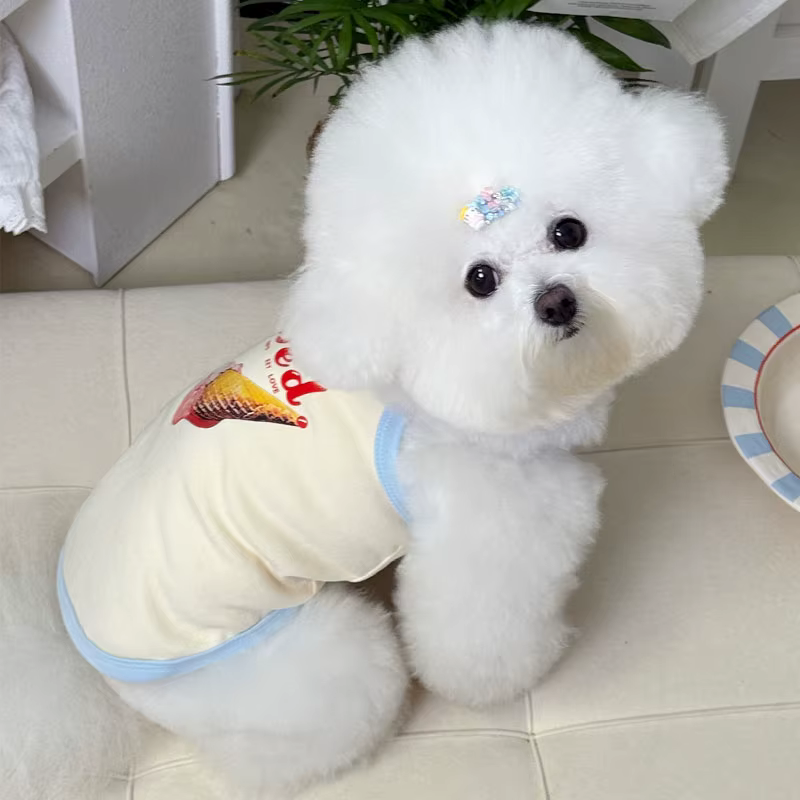 Vestido de verano con capucha para cachorros Chihuahua
