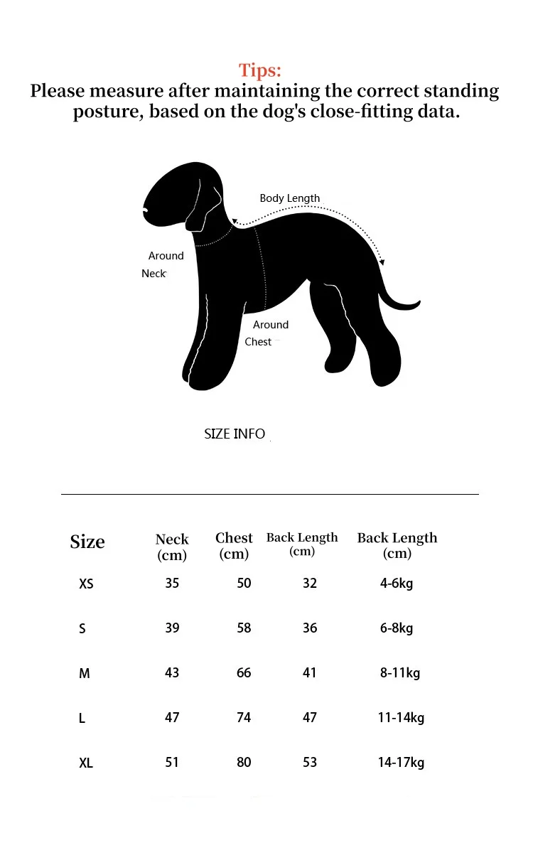 Perro con traje funcional ligero y cobertura de cuatro patas