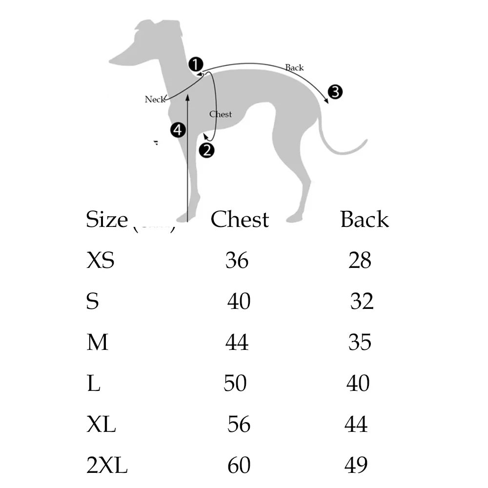 Camiseta de algodón interior para Whippet