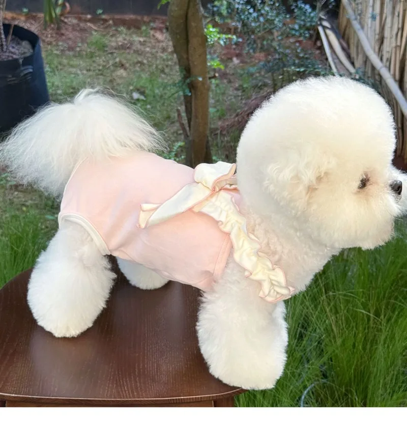 Vestido de calabaza para perros pequeños en modelo real