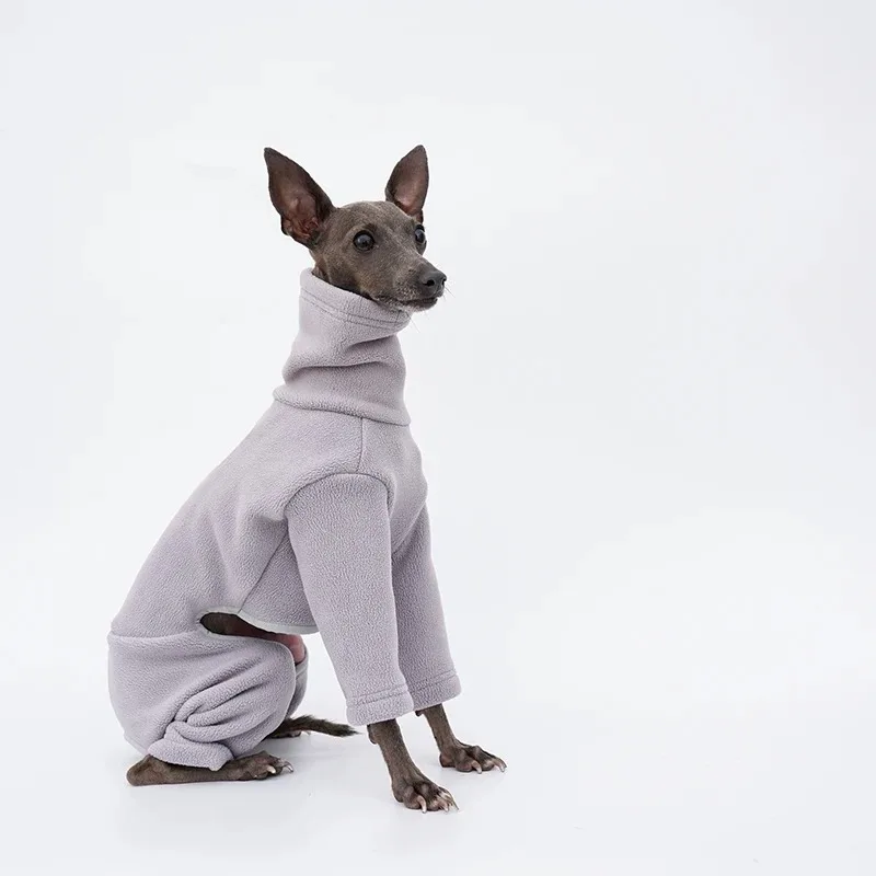 Perro usando la chaqueta de invierno en exteriores