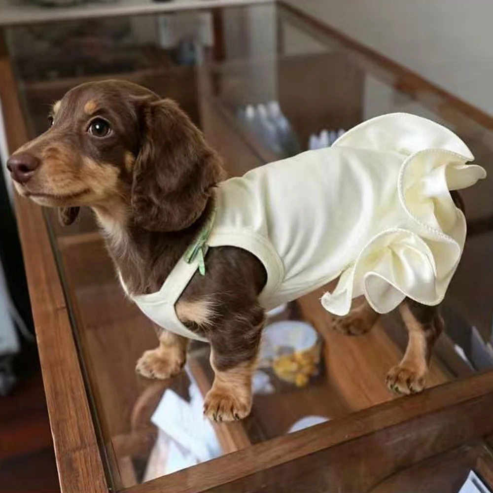 Vestido princesa con volantes para perro dachshund color amarillo - imagen 4