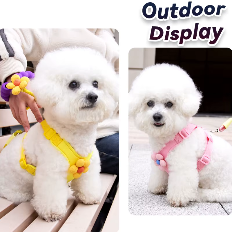Arnés floral ajustable con correa para perro - imagen 2