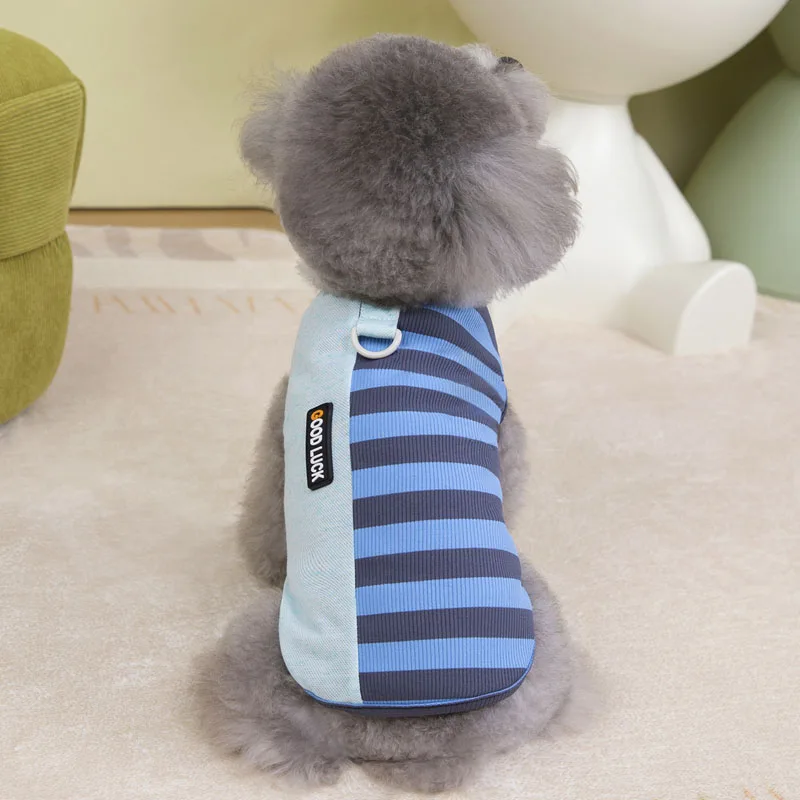 Perro jugando con sudadera rayada