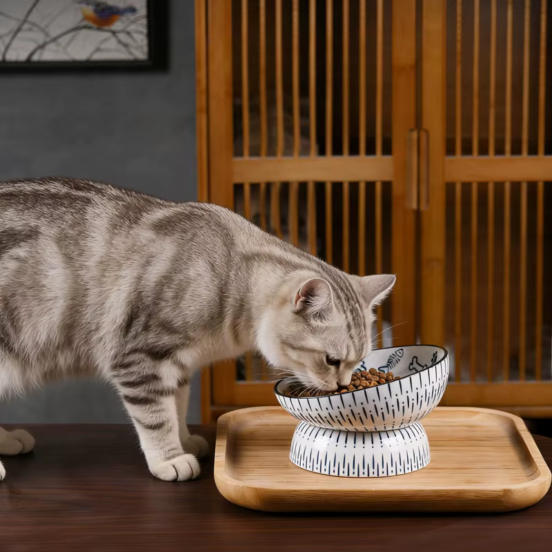 Tazón cerámica para gatos estilo japonés boca inclinada anti-mancha - imagen 3