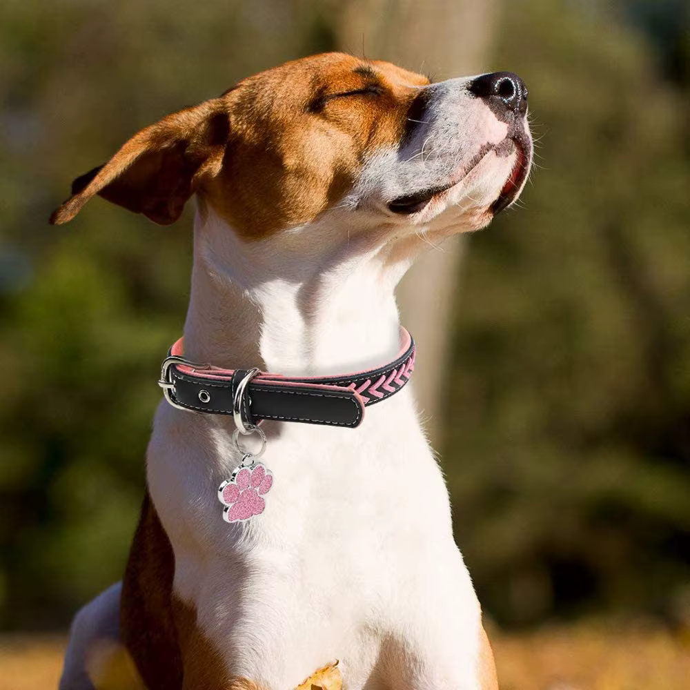 Collar personalizado con placa de identificación para perros y gatos - imagen 5