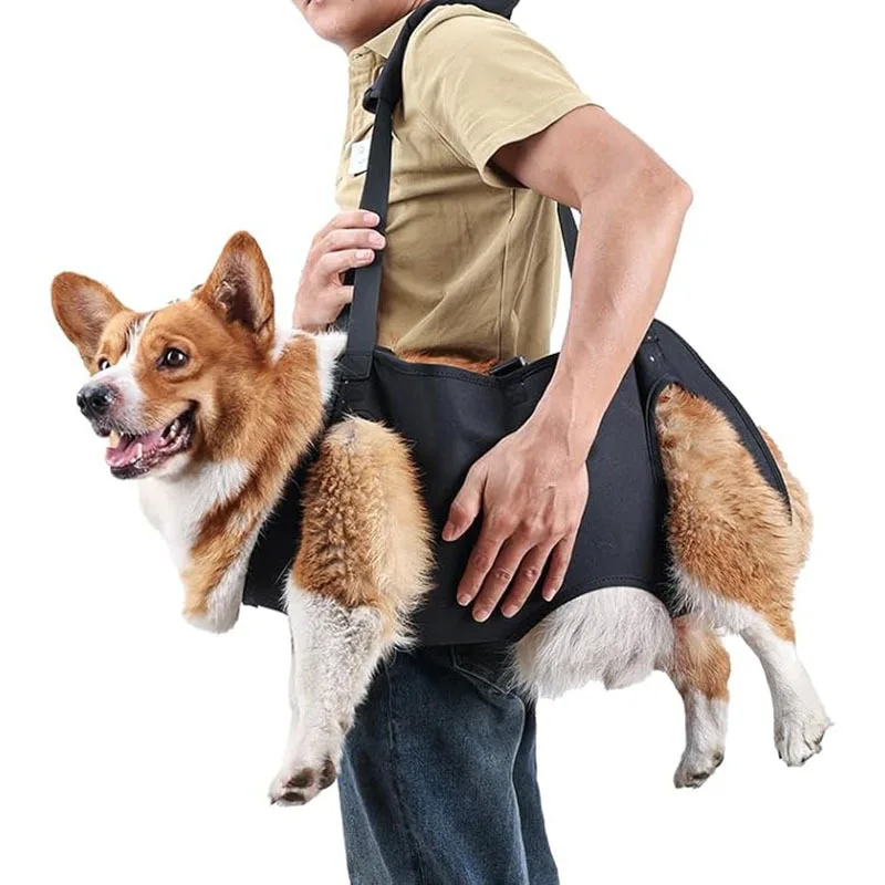 Arnés de Rehabilitación para Perros Mayores y Lesionados