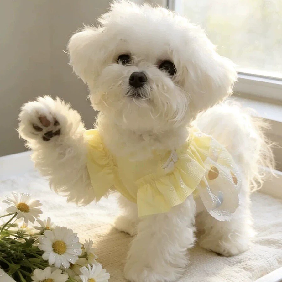 Detalle del estilo de falda para perros