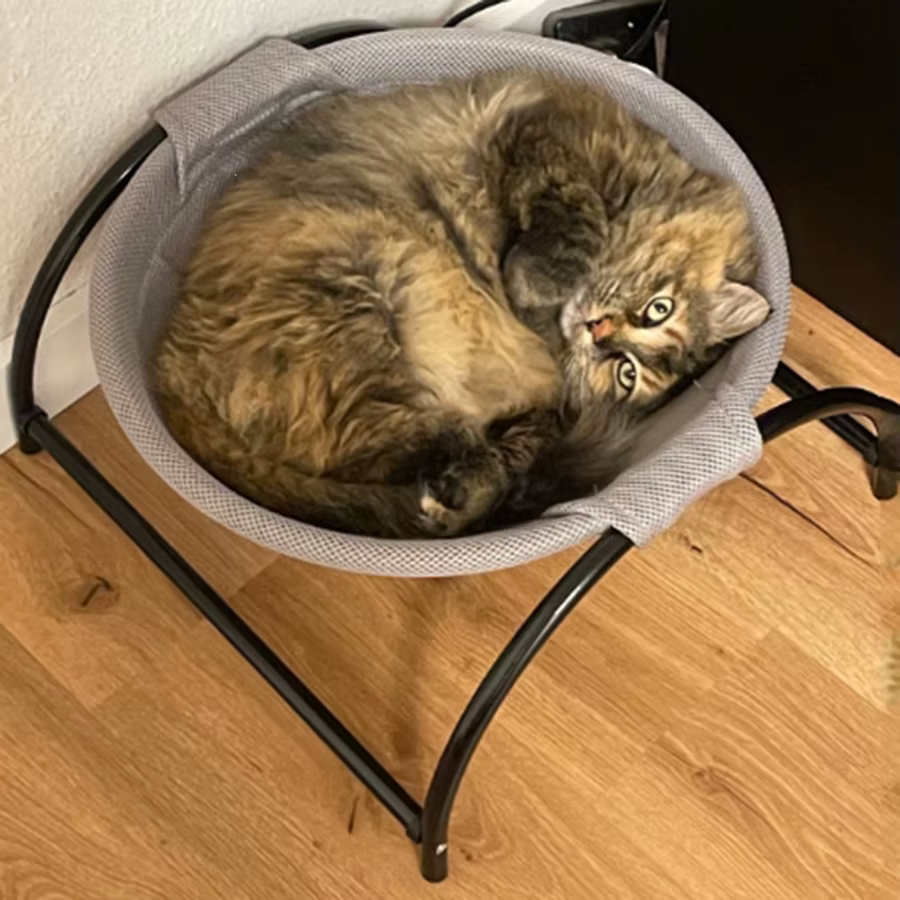 Cama hamaca transpirable y refrescante para gatos y perros pequeños