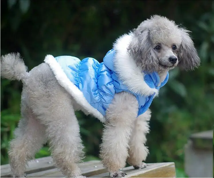 Abrigo acolchado con capucha para perros y chaqueta cálida para gatos - imagen 4
