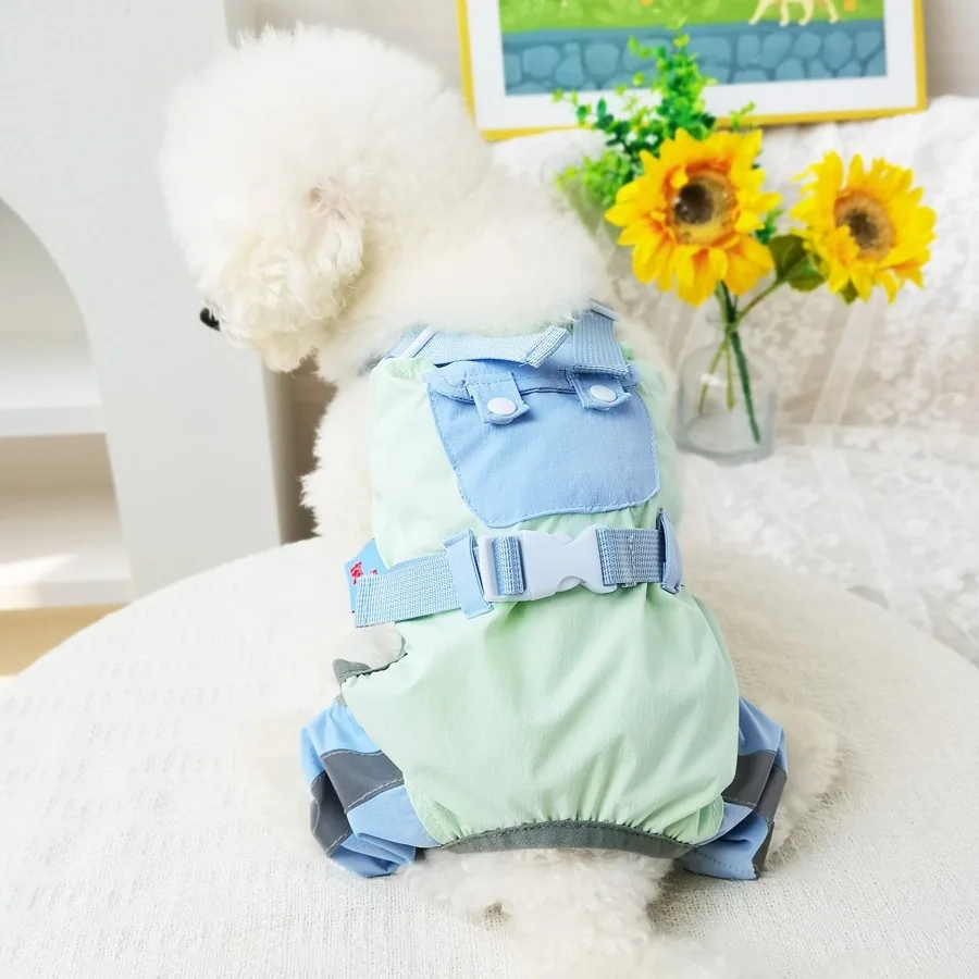 Cachorro usando overol de primavera para mascotas
