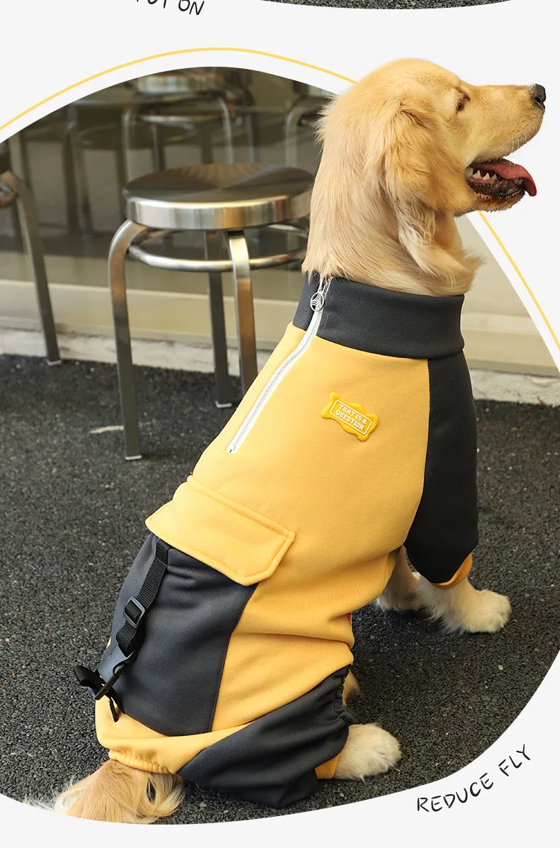 Perro Golden Retriever usando la chaqueta HOOPET
