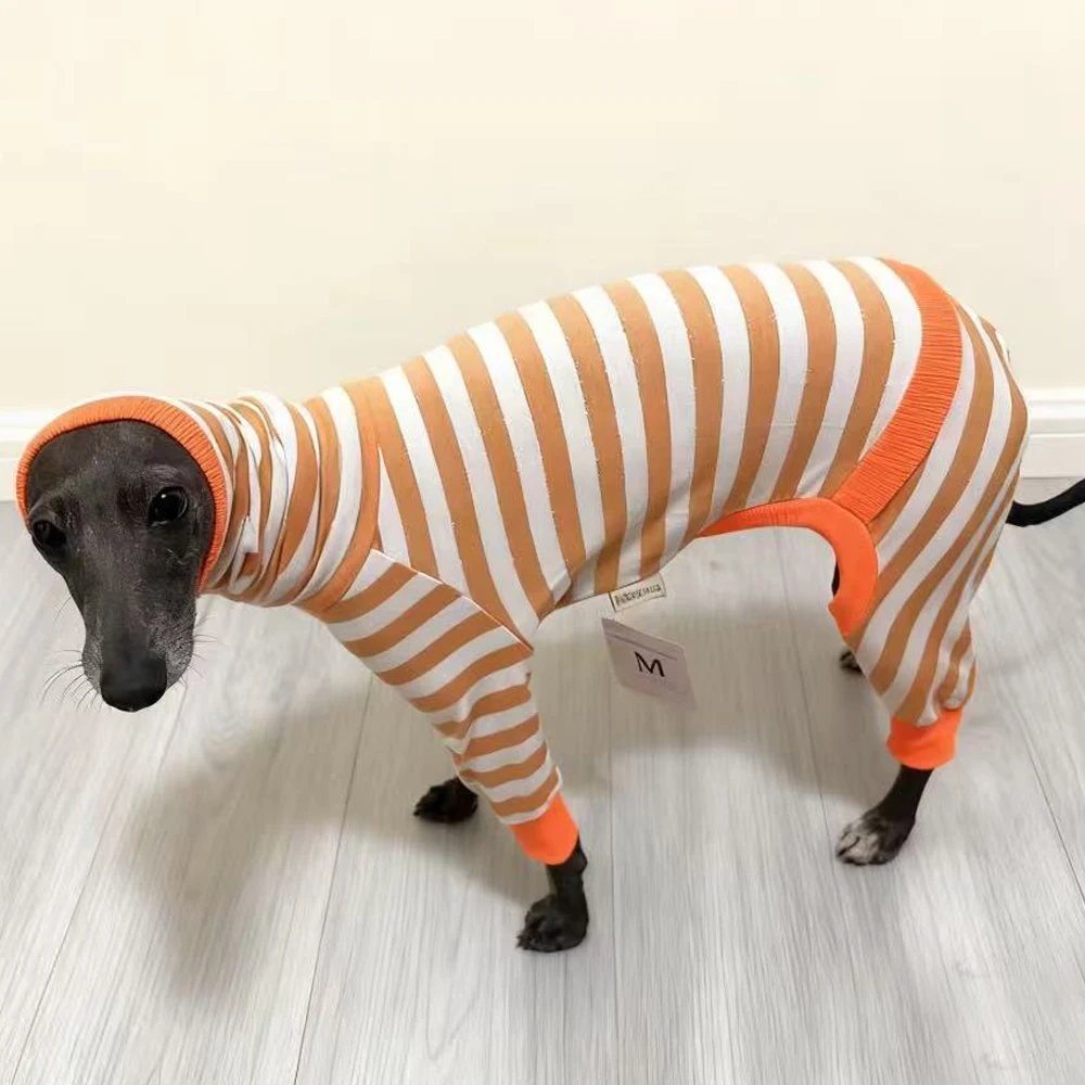 Abrigo de cuello alto para galgo italiano