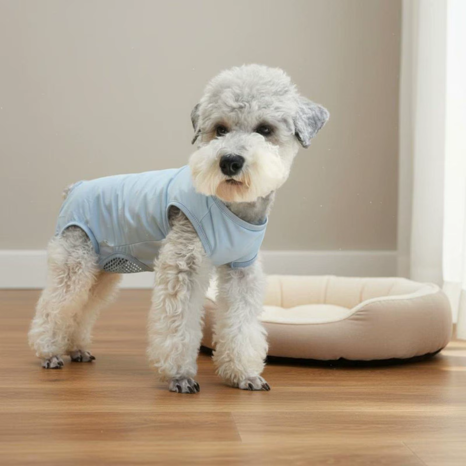Pantalones Ergonómicos para Perros – Protege Durante Recuperación y Calor - imagen 4