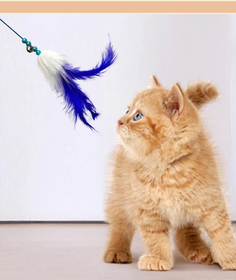 Gato jugando con el teaser stick