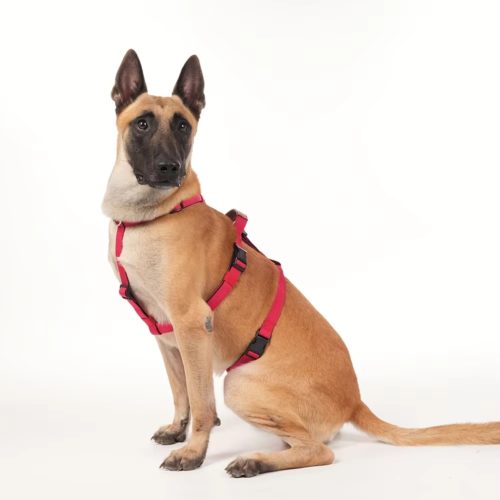 Arnés antiescape para perros medianos y grandes - imagen 5