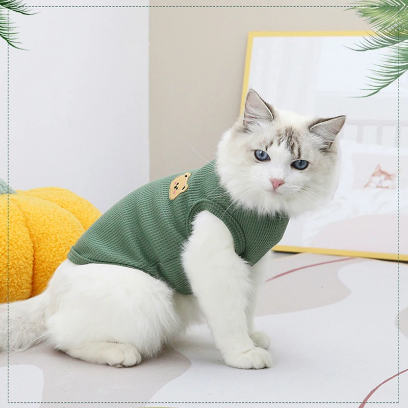 Chaleco con estampado de oso para gato