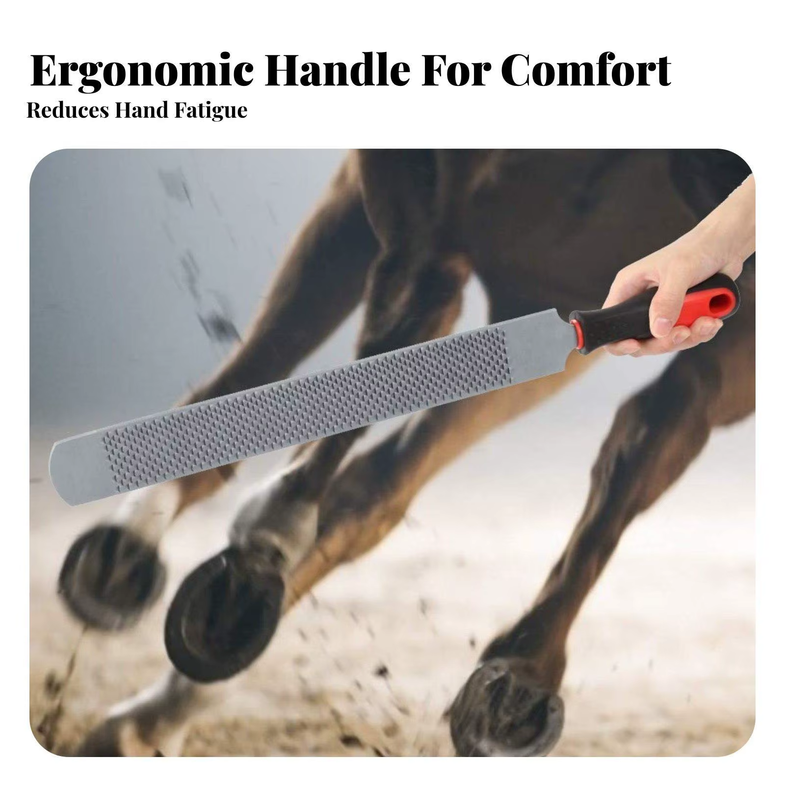 Raspador de pezuñas herrador doble cara para caballos - imagen 3