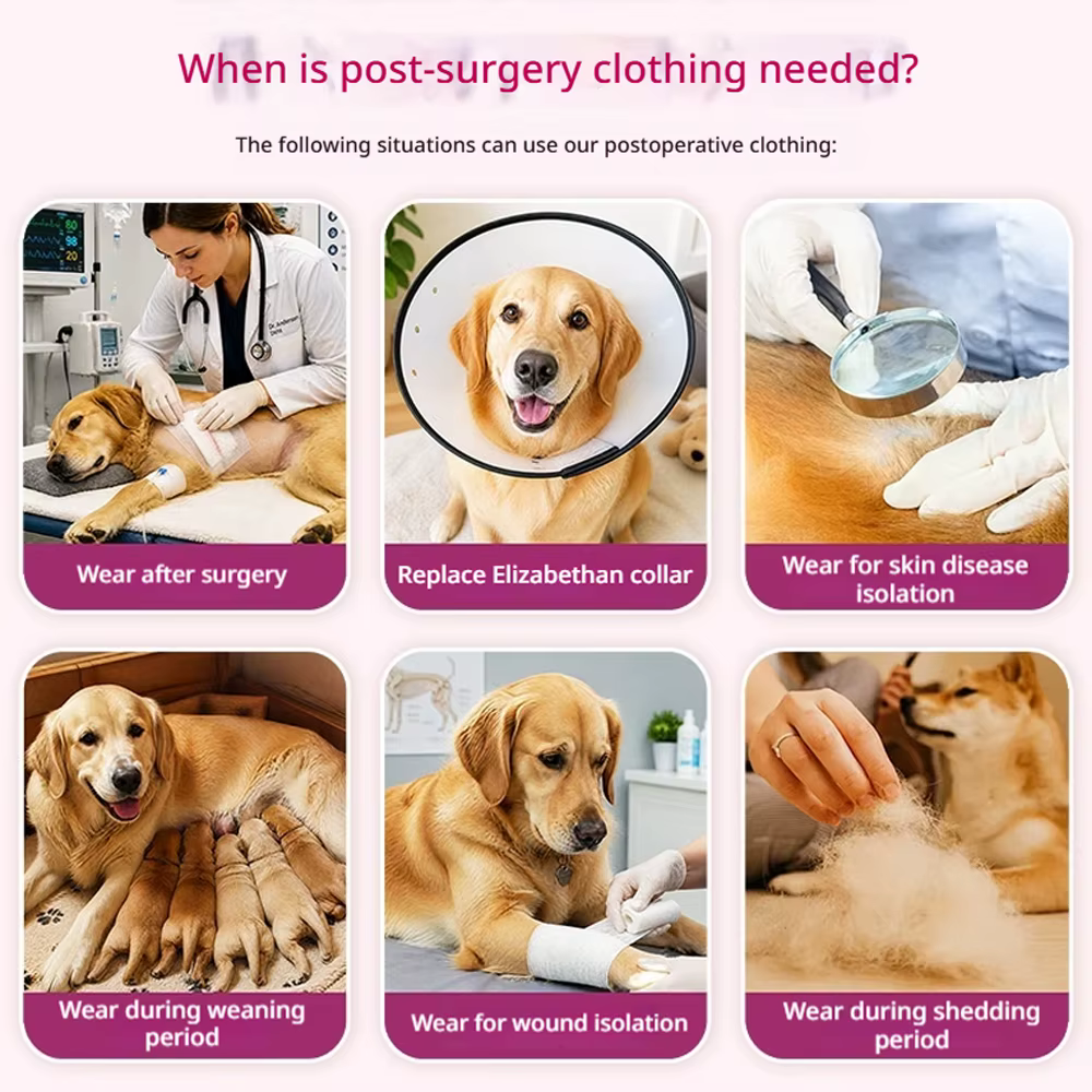 Traje postoperatorio anti-lamido para perros grandes – Ropa quirúrgica de recuperación - imagen 3