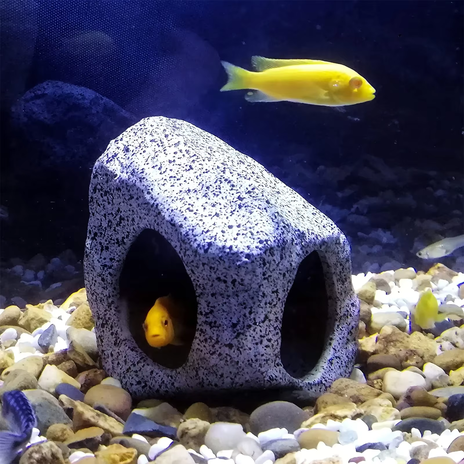 Cueva cerámica decorativa instalada en un acuario