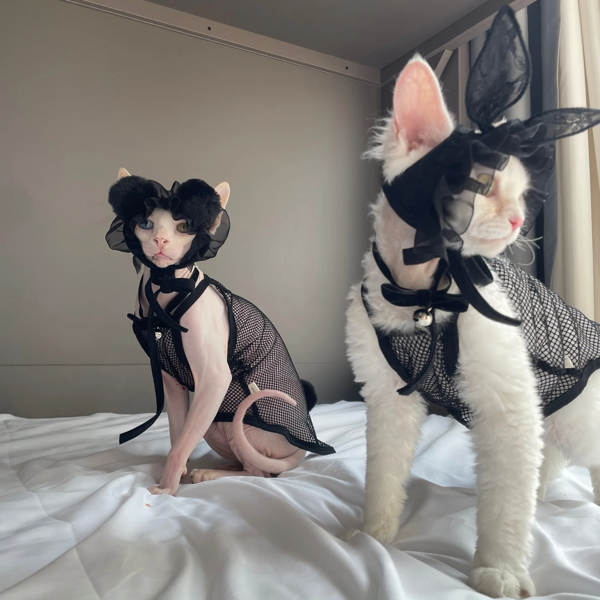 Disfraz de gato salvaje sexy para cosplay Sphynx, camisola de malla - imagen 4